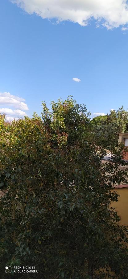 דירות פיזה Desiderio מראה חיצוני תמונה